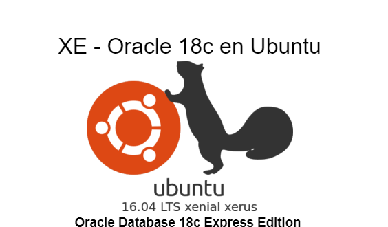 XE – Oracle 18c en Ubuntu 16